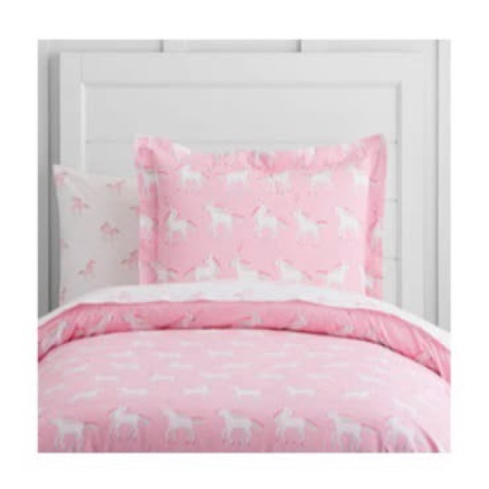 Pottery Barn Kids Full Duvet, Sheets, Pillow shams, throw pillow